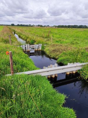 Ditch with impounded water