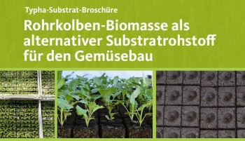 Typha-Substrat-Broschüre: Rohrkolben-Biomasse als  alternativer Substratrohstoff  für den Gemüsebau