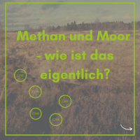Peatlands and methane - how is that actually? (Illustration: GMC per canva).