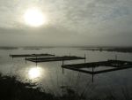 Sphagnum farming on floating mats (Universität Greifswald)
