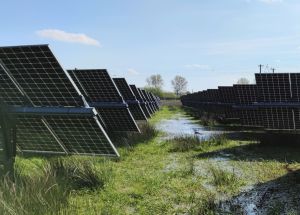 Peatland photovoltaic systems in Lottorf (Picture: Jürgen Kreyling)