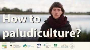 How to paludiculture? (Bild: BioFilm)