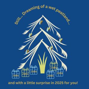 SOM-Card for christmas with schematic illustration of Christmas tree made from reed stems