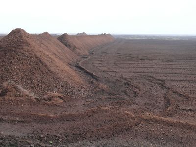 Frästorfabbau in der Esterweger Dose (Universität Greifswald)