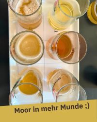 peatland beer on a tray